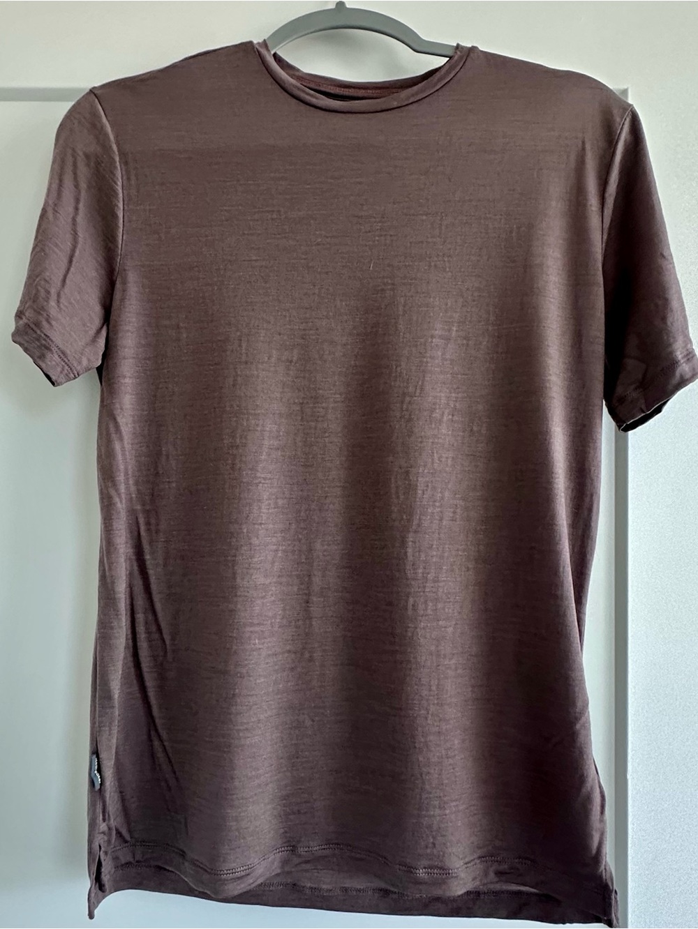 Icebreaker Merino Blend 125 Cool-Lite™ Sphere Short Sleeve Tee in Porcini